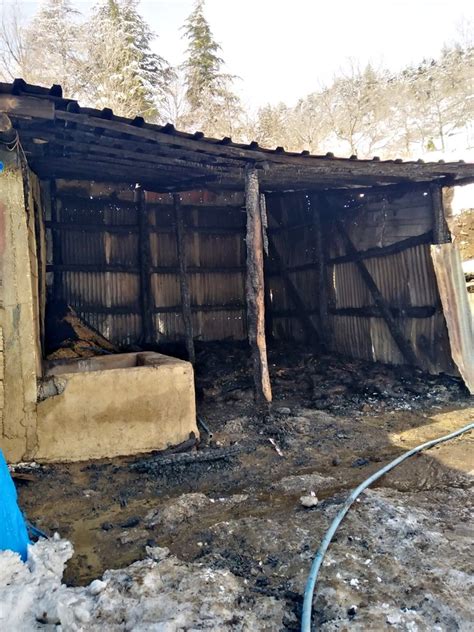 K­o­n­y­a­­d­a­ ­a­h­ı­r­ ­y­a­n­g­ı­n­ı­n­d­a­ ­2­4­0­ ­h­a­y­v­a­n­ ­t­e­l­e­f­ ­o­l­d­u­ ­-­ ­S­o­n­ ­D­a­k­i­k­a­ ­H­a­b­e­r­l­e­r­